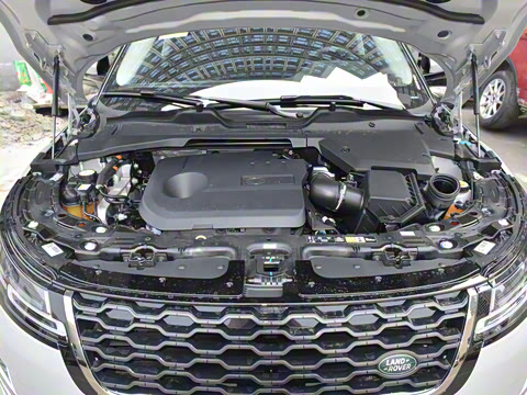 2021�� ����L P300e ������