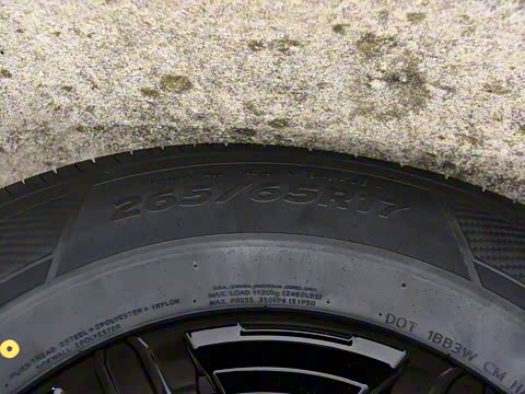 2025�� 2.0T ��ս��