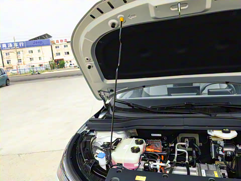 2025�� 565km ������