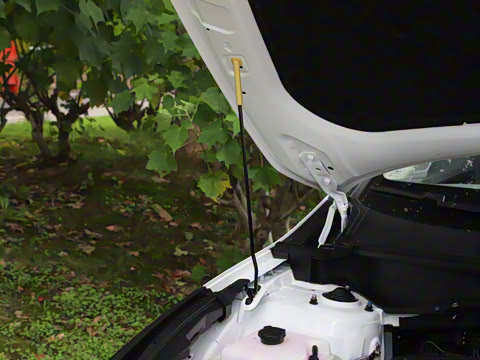 2025�� 1.5T ����������