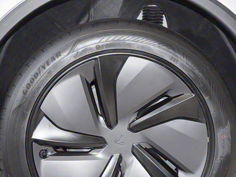 2025�� ����������