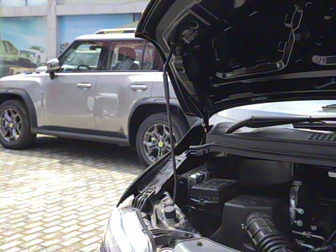 2025�� M5 1.5T ���������� 9��