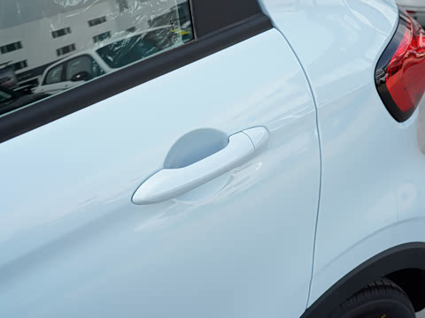 2025�� 310������