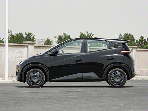 2025�� �Ǽݰ� 305km ������