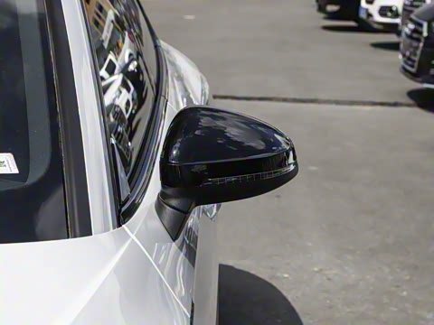 2024�� RS 5 2.9T Sportback ȼ���