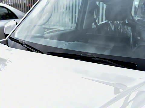 2025�� 2.0T 4WD Pro