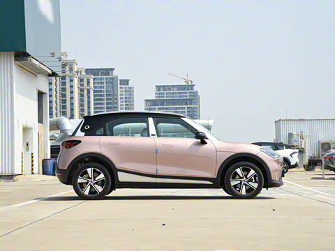 2026�� �鶯������