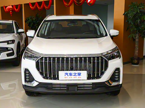 2024�� 1.6TD DCT����PRO 5��