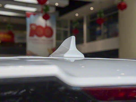 2021�� GT 2.0T �Զ������� 5��