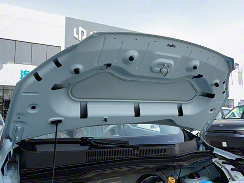 2025�� 310������