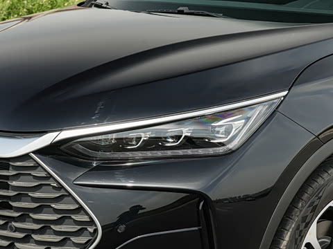 2025�� DM-i 175KM �캽��