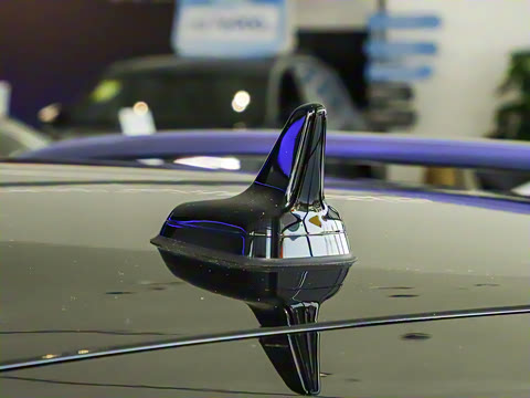 2025�� �Ŀ� 300TSI DSG���������