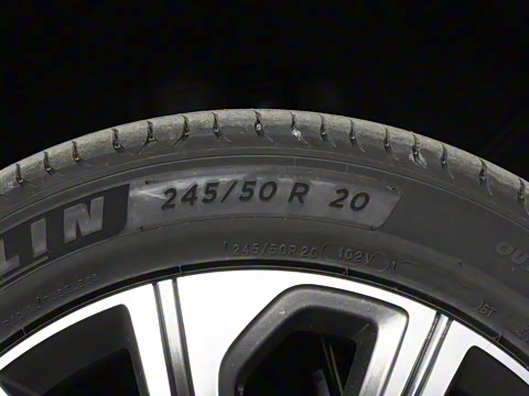 2024�� ���ʰ� 400T �������� 6��