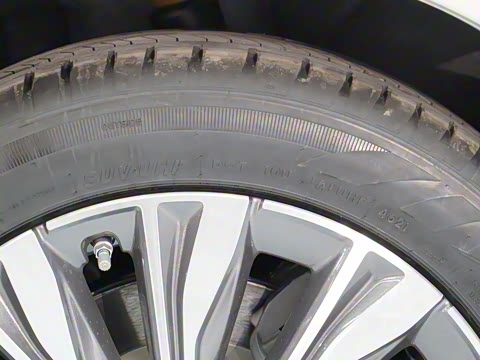 2022�� 431km ���������