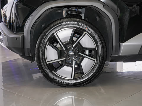 2025�� 501KM ����Max��