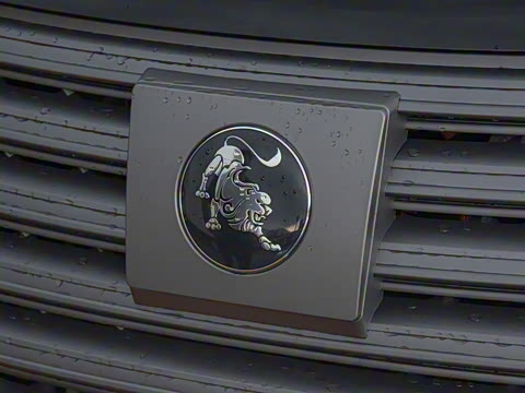 2025�� 110km���� ������5��