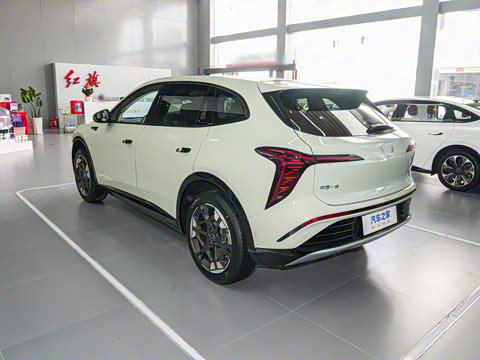 2025�� 520 ��ѡ��