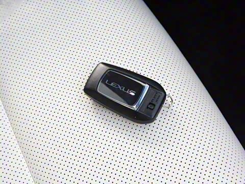 2020�� 300h ����������