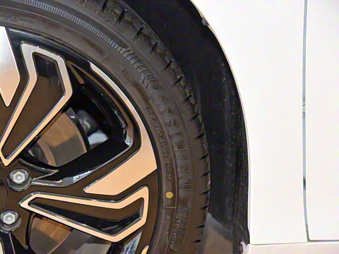 2022�� ���������