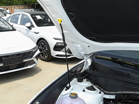 2025�� ;ʤL 1.5T ��Ӣ�� N-Line