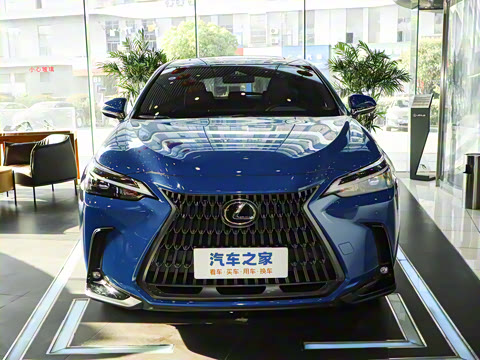 2025�� 260 ǰ�� �ر��