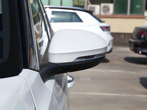 2025�� 300TSI DSG�����ǹ��