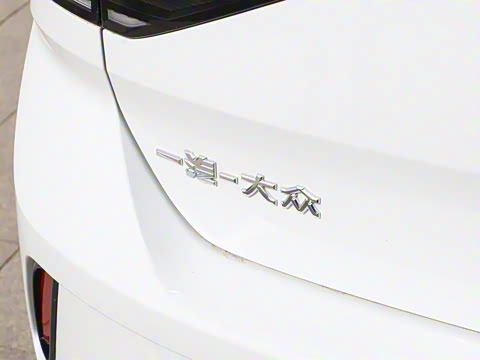 2025�� �Ŀ� 300TSI DSG���������