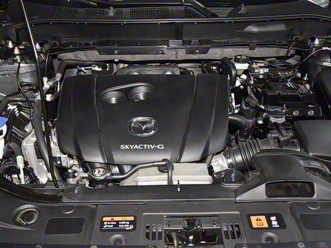 2025�� 2.0L �Զ�����������