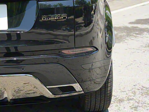 2022�� ����L P300e ���ʽ�綯��ϰ�