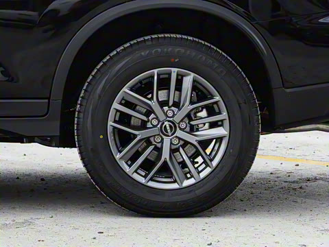 2025�� ���� 2.0L �������İ�