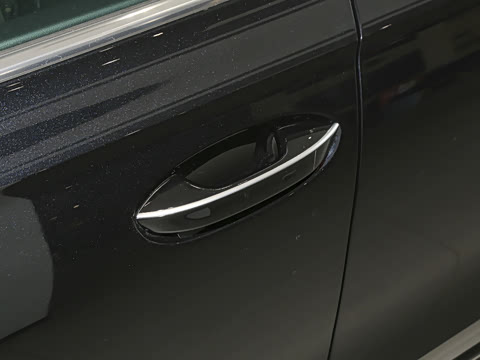 2025�� Pro 300TSI ��ҫ��