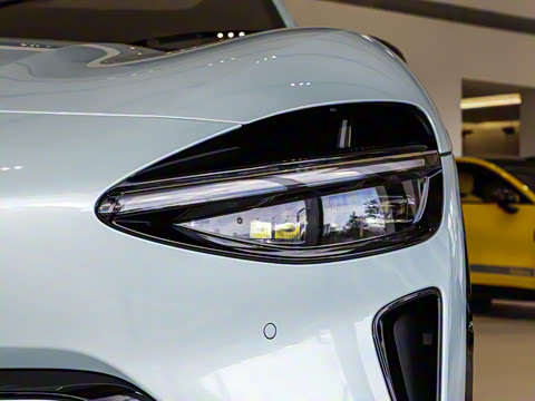 2025�� ��������������