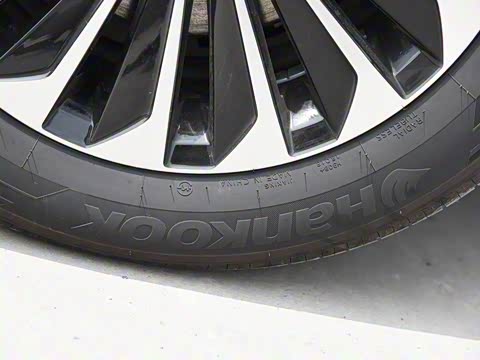 2019�� ������