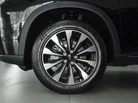 2025�� 290TGDI DCT������ 7��