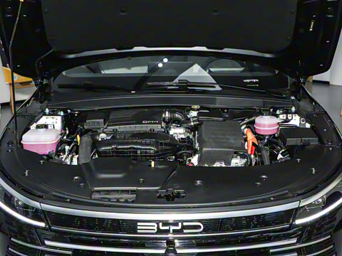 2024�� DM-i 55KM �캽��ҫ��