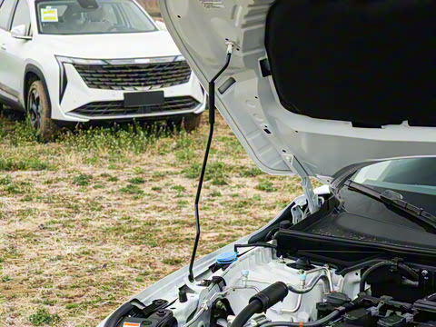 2023�� 240TURBO �ֶ�ר����