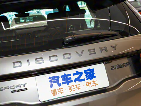 2021�� P300e ���ܿƼ���