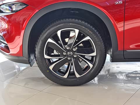 2020�� 2.5L �Զ��������켤���