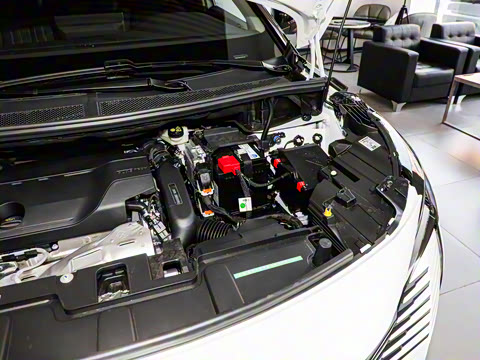 2025�� �콢��