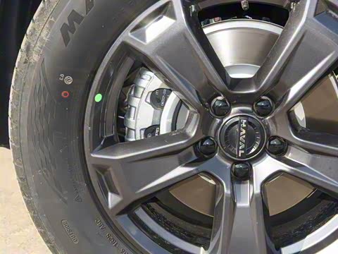 2025�� 2.0T 4WD Pro