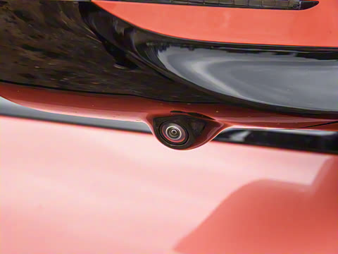 2025�� Max�����