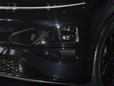 2025�� 725 �������� Max �콢��