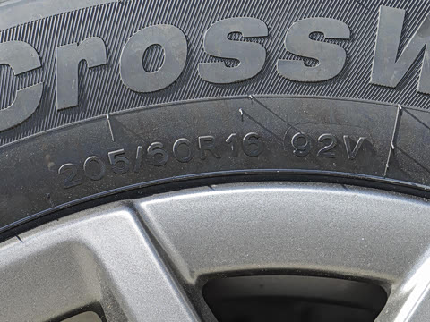 2025�� �콢�� 5��