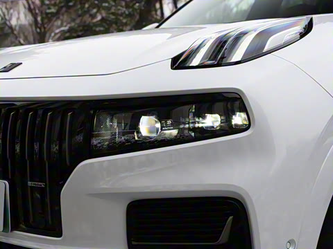 2024�� 2.0TD EM-P ����ULTRA ����