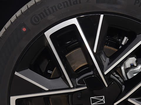 2025�� Max�����