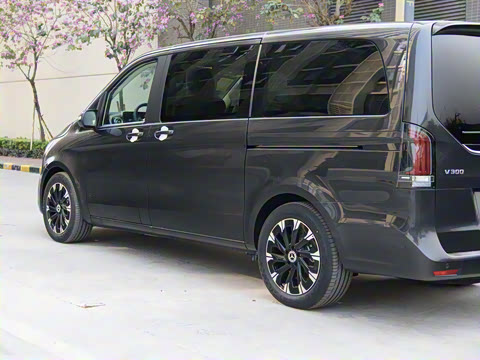 2024�� V 300 �캽��