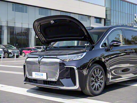 2025�� EV �������Ǭ����