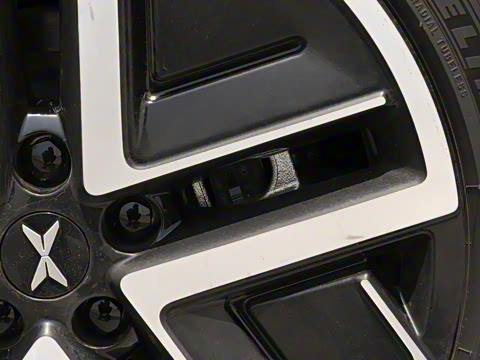 2025�� 502 ������ Max