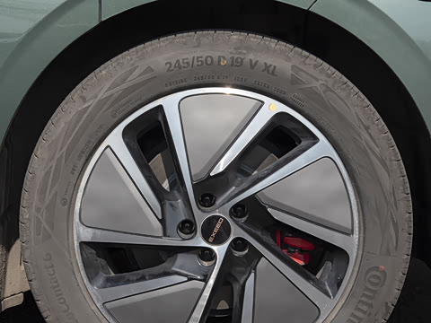 2025�� ���� Max ����������ʻ