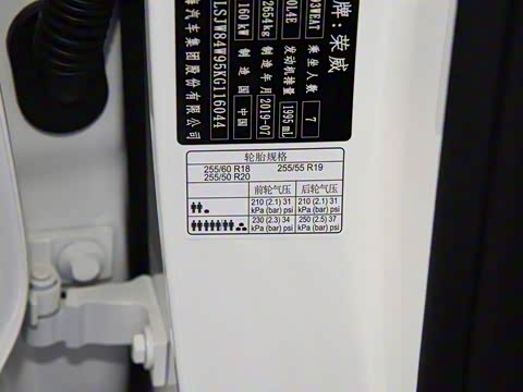 2019�� 30T ������������Ⱥ�콢��